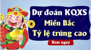 Dự đoán MB 1/11